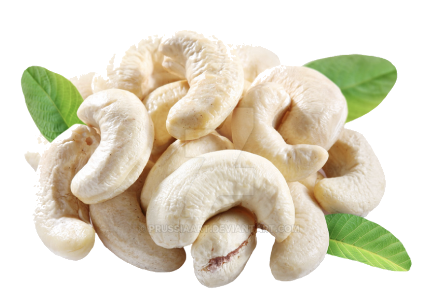 cashew
